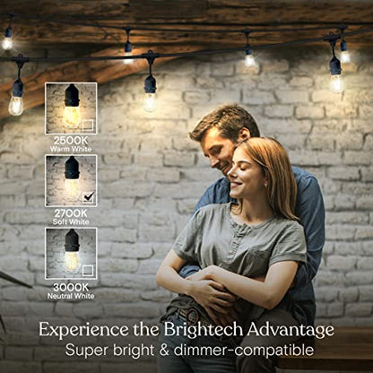 Brightech Ambience Pro – Cadena de luces LED impermeables para exteriores – Bombillas Edison vintage de 2 W regulables para colgar – Luces de patio de grado comercial de 48 pies crean un ambiente de cafetería en su patio trasero