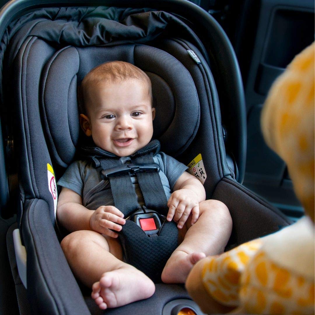 PRODUCTO 517 ¡El monitor para bebés Zooby Car ayuda a reducir las distracciones al conducir! Nuestro tierno monitor de peluche que les encanta a los bebés sirve como un compañero relajante para que pueda conducir con total tranquilidad (Jordan)