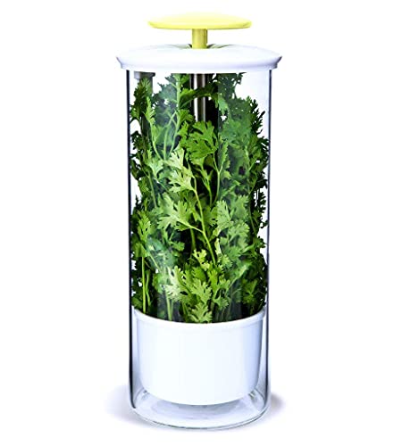 NOVART XXL Herb Keeper and Herb Saver – Recipiente de almacenamiento de vidrio para cilantro, menta, perejil, espárragos, mantiene las verduras frescas durante 2-3 semanas